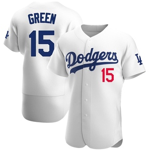 Los Angeles Dodgers Shawn Green Green Authentic Men's Gray Away